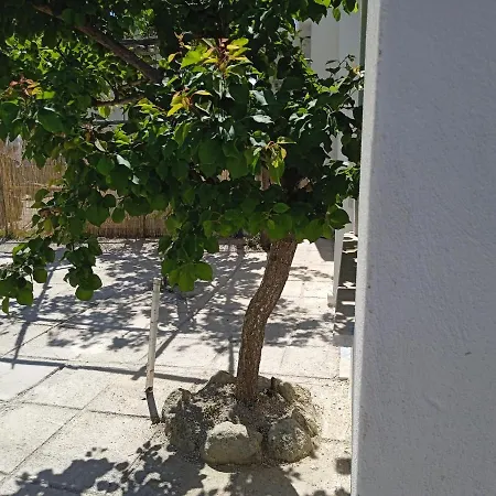 Mati Maison Forio (Isola d'Ischia)